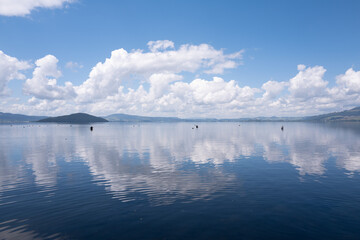 Trout fishing, Lake Rotorua