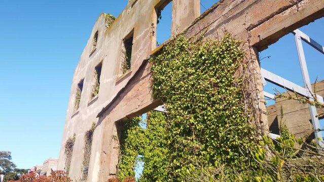 Gimbal booming up shot from coastal plants to the ruins of the old Warden's House on Alcatraz Island in the San Francisco Bay. 4K