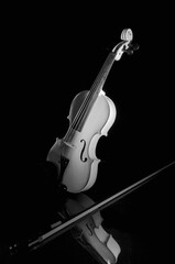 Fototapeta premium A dramatic still life shot of violin instrument in the shadows.