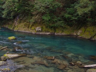 緑の天降川の流れ