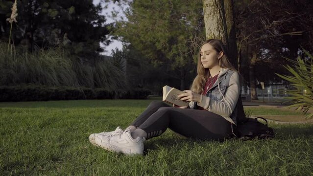 Mujer joven lee un libro debajo de un arbol durante el atardecer