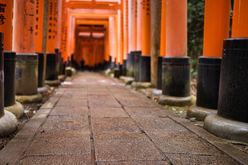 京都伏見稲荷大社　風景