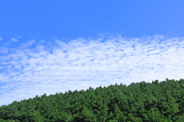 초록색 산과 파란하늘 위에 그려진 하얀 구름들과의 조화로움