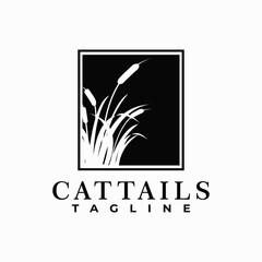 cattails plant vector template. reed grass. water plant graphic illustration.