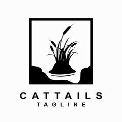 cattails plant vector template. reed grass. water plant graphic illustration.