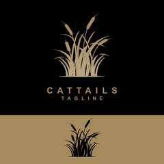 cattails plant vector template. reed grass. water plant graphic illustration.