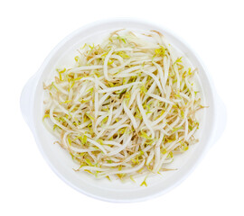 Bean sprouts with dish isolated