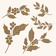 set of coffee bean and leaf