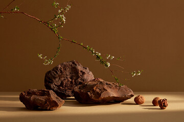 A flower branch, walnuts and some stones with brown minimal scene