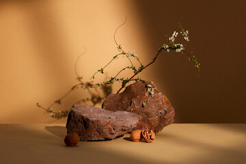 White flower with green leaves, brown stones and some walnuts on brown background for advertising...