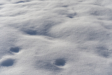 雪が積もった日本の田舎の風景