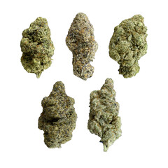 isolation of cannabis