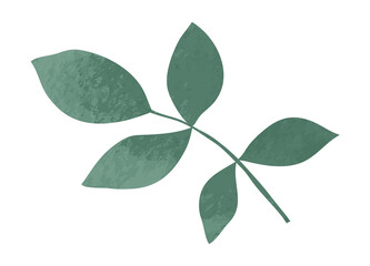 Watercolor spring floral leaf branch