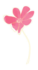 Watercolor spring flower line art