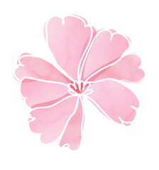 Watercolor spring flower line art