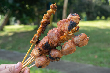 selective focus on tofu, meatballs, chicken intestines skewered with bamboo and then grilled, soft focus