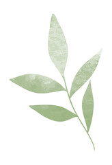 Watercolor spring floral leaf branch