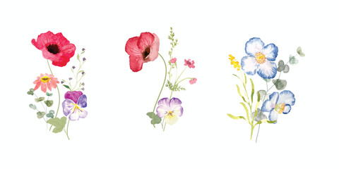 watercolor arrangements with small flower summer and spring. Botanical illustration minimal style. - 574526055