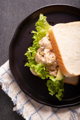 Tuna salad sandwich. It is a quick, simple and nutritious recipe, Healthy food, delicious snack very popular in many countries,