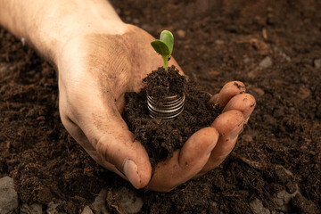 Plants for Money - The Concept of Money Growth A male farmer is touching the soil in a field with his hands. Farmer's hands hold organic soil and plants with money .