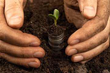 Plants for Money - The Concept of Money Growth A male farmer is touching the soil in a field with his hands. Farmer's hands hold organic soil and plants with money .