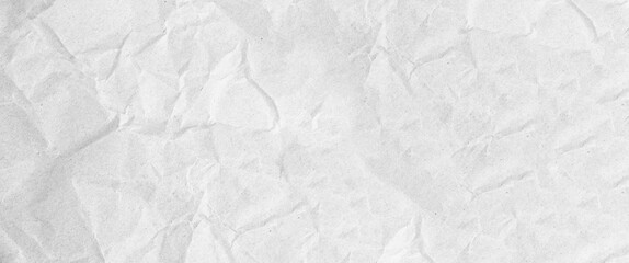 Wide White art paper background.