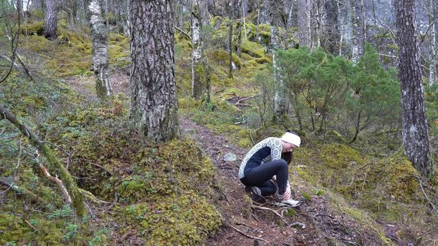 Young woman hiking trail through forest trips on root, injures ankle