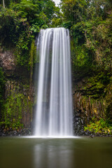 Fototapeta na wymiar Millaa Millaa Falls, Far North Queensland, Australia