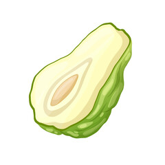 chayote fresh cartoon vector illustration color sign