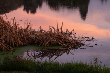 Golden hour colours on the water at the edge of a dam