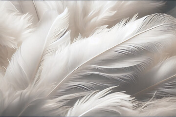 Very soft white feathers. generative AI