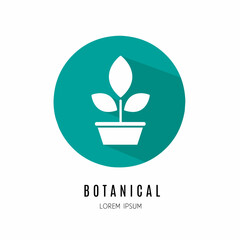 Botanical logo. Illustration of botanical in flat. Stock vector.