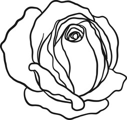 Arthur Bell rose  png.Beautiful flower on transparent background.