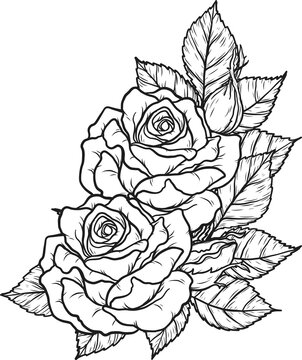 Arthur Bell rose  png.Beautiful flower on transparent background.