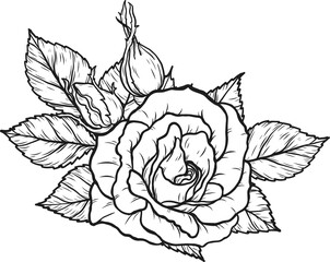 Arthur Bell rose  png.Beautiful flower on transparent background.