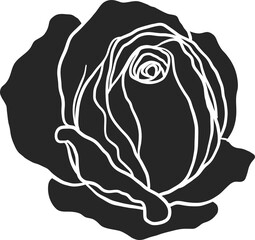 Arthur Bell rose  png.Beautiful flower on transparent background.