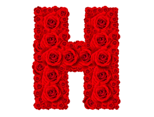 Rose alphabet set - Alphabet capital letter H made from red rose blossoms