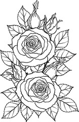 Arthur Bell rose  png.Beautiful flower on transparent background.