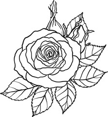 Arthur Bell rose  png.Beautiful flower on transparent background.