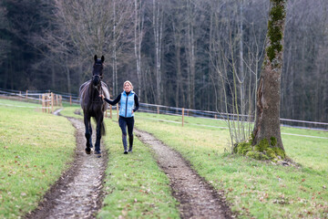 Rider brings your horse from the pasture to the stable..