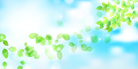 新緑　葉　風景　背景