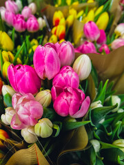 Set of bouquets of tulips of different colors, tulips bouquet. Present for March 8, International Women's Day. Holiday decor with flowers selling. Bouquet with colorful tulips. Holiday floral decor