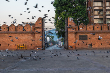 Tha Phae Gate, the eastern gate of chiang mai in thailand. Translation: tha phae gate.