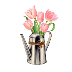 Watercolor drawing of a bouquet of five luxurious pink tulips in a watering can. There is a jute rope on the can. © Belenova_art