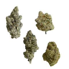 varieties shape of cannabis