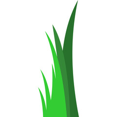 Grass Illustration