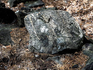 exposed rocks containing mica in an old industrial excavation