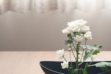 白い菊の生け花と窓の光