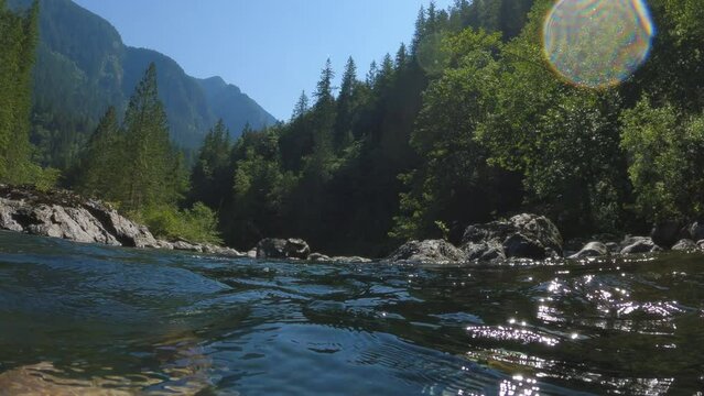 POV Floating Down River in Pacific Northwest