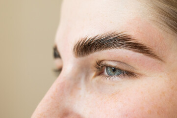 Close-up portrait of a woman after the procedure of correction and lamination of eyebrows.  - obrazy, fototapety, plakaty